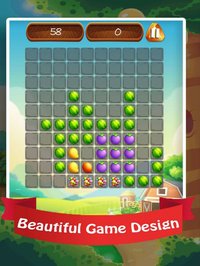 Block Fruit Puzzle 2017 screenshot, image №920588 - RAWG