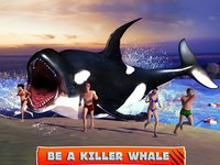 Killer Whale Beach Attack 3D screenshot, image №895422 - RAWG
