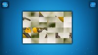 PUZZLE: BIRDS screenshot, image №1788111 - RAWG