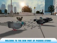 Pigeon Bird Survival Simulator 3D 2 screenshot, image №909934 - RAWG