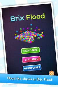 Brix Flood screenshot, image №987135 - RAWG