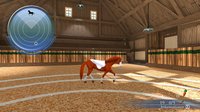 My Riding Stables: Life with Horses 2 screenshot, image №1609171 - RAWG