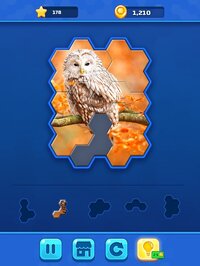 Hexa Jigsaw Challenge screenshot, image №2644363 - RAWG