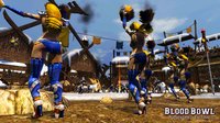 Blood Bowl Legendary Edition screenshot, image №551851 - RAWG