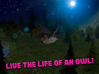 Owl Bird Survival Simulator 3D Free screenshot, image №1333238 - RAWG