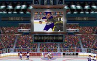 Wayne Gretzky Hockey 3 screenshot, image №3128052 - RAWG