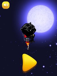 Black Panther Jet Flight screenshot, image №1648007 - RAWG