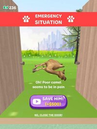 Paw Care! screenshot, image №2563516 - RAWG