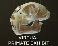 Virtual Primate Exhibit screenshot, image №1156008 - RAWG