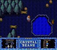 Crystal Beans From Dungeon Explorer screenshot, image №3240656 - RAWG