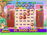 Super Bingo HD - Bingo Live screenshot, image №1688151 - RAWG