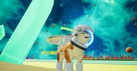 Doge Dimensions screenshot, image №3201881 - RAWG