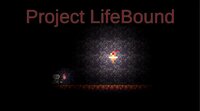 Project Life Bound screenshot, image №2424903 - RAWG