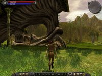 Asheron's Call 2: Fallen Kings screenshot, image №367790 - RAWG