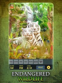 Hidden Object - Endangered Wildlife screenshot, image №1675863 - RAWG