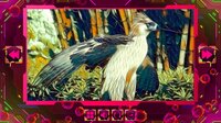 Twizzle Puzzle: Birds screenshot, image №4005965 - RAWG