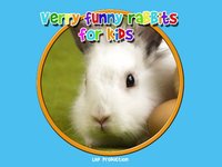 verry funny rabbits for kids - free screenshot, image №1866766 - RAWG