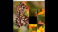 hgmGame-butterfly screenshot, image №4214763 - RAWG