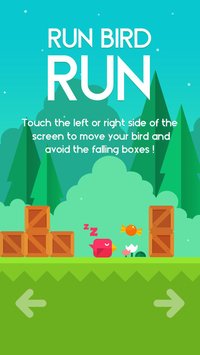 Run Bird Run screenshot, image №678672 - RAWG