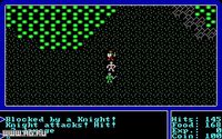 Ultima I: The First Age of Darkness screenshot, image №325013 - RAWG
