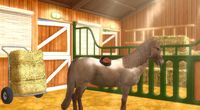 EquiMagic - Galashow of Horses screenshot, image №707656 - RAWG