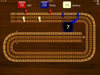 Cribbage Pegboard screenshot, image №896557 - RAWG