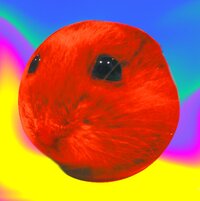 Hamster Fun Time screenshot, image №3777962 - RAWG