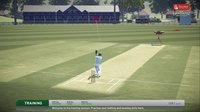 Don Bradman Cricket 17 screenshot, image №236951 - RAWG