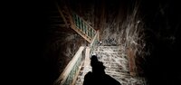 Mine Spiders screenshot, image №4220201 - RAWG