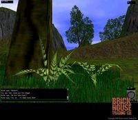 Arcanity screenshot, image №367717 - RAWG