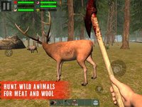 The Survivor: Rusty Forest screenshot, image №1780289 - RAWG