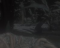 Goliath birdeater screenshot, image №1169686 - RAWG