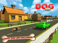 Amazing Dog Simulator: Play super dog life role screenshot, image №1780086 - RAWG