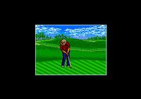 Chi Chi's Pro Challenge Golf screenshot, image №758719 - RAWG