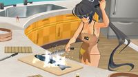 Senran Kagura: Bon Appetit screenshot, image №109053 - RAWG