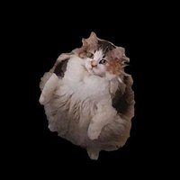Lööps screenshot, image №1321933 - RAWG