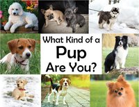 What kind of a Pup Are You? screenshot, image №1982659 - RAWG