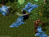 Ultima Online: Age of Shadows screenshot, image №347318 - RAWG