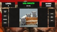 Fitzzle Cute Kittens screenshot, image №1323332 - RAWG