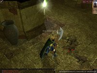 Neverwinter Nights Diamond screenshot, image №220113 - RAWG