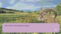 Head Over Hooves: My Heart Bleats For You screenshot, image №1767339 - RAWG