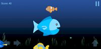 Get Big: Fish Battle screenshot, image №2573503 - RAWG
