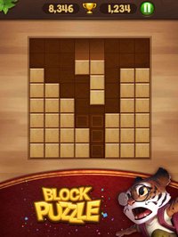 Block Puzzle Wood screenshot, image №903350 - RAWG