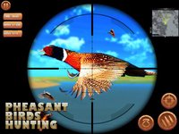 Pheasant Bird Hunting 3d screenshot, image №1993394 - RAWG