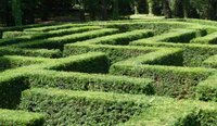 Eternal Maze (itch) screenshot, image №3039358 - RAWG