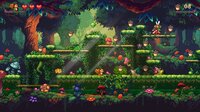 Going for Nuts screenshot, image №4161086 - RAWG