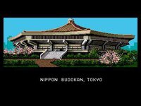 Budokan: The Martial Spirit (1991) screenshot, image №4104269 - RAWG