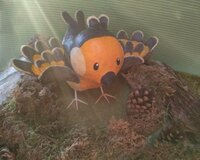 BirdSpotter screenshot, image №2573109 - RAWG