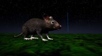 RAT MEMORY screenshot, image №4081441 - RAWG