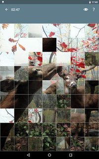 Jigsaw Puzzle: Animals screenshot, image №1497950 - RAWG